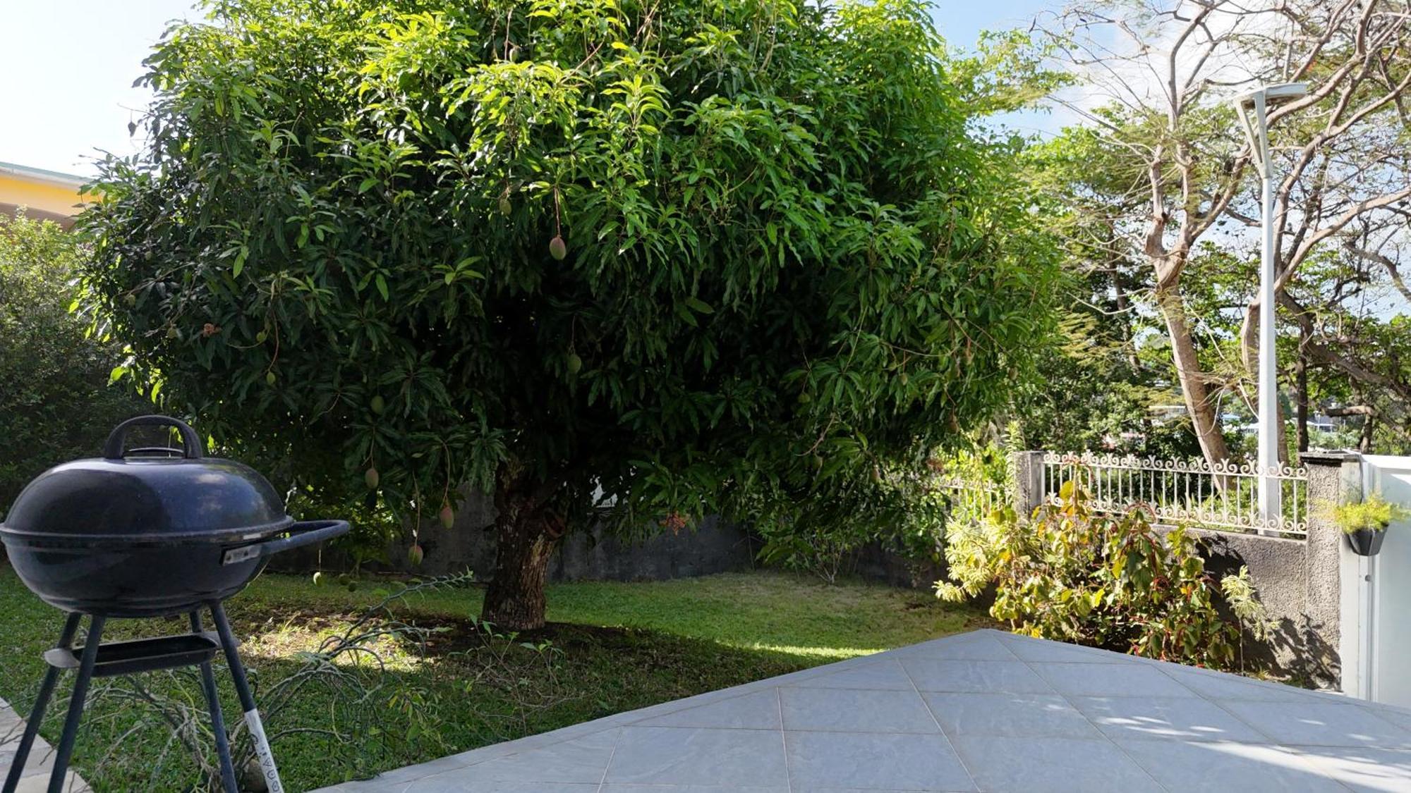 Tropical Paradise La Marina Le Gosier  Exterior photo